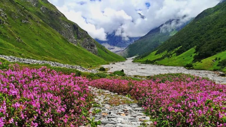 Valley of Flowers Trek Itinerary (Ex Haridwar) - Trivotours holiday tour
