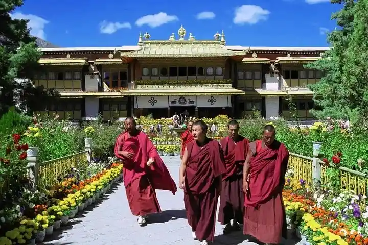 culture image