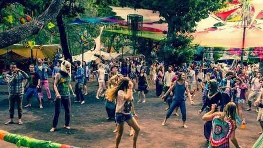 culture image