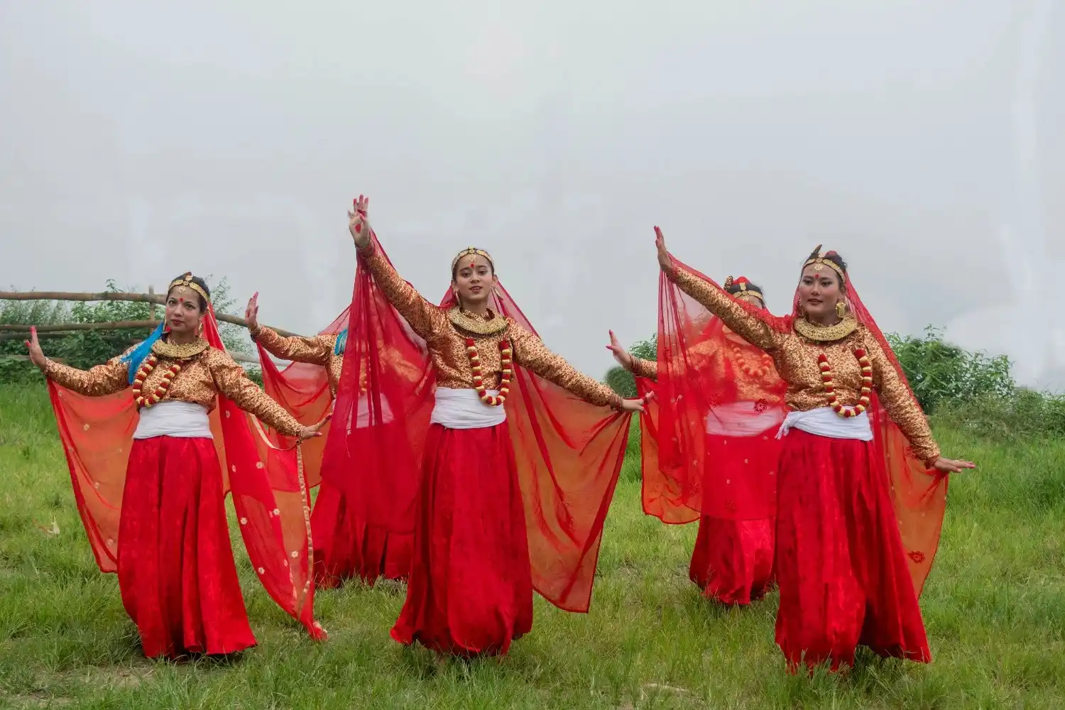 culture image