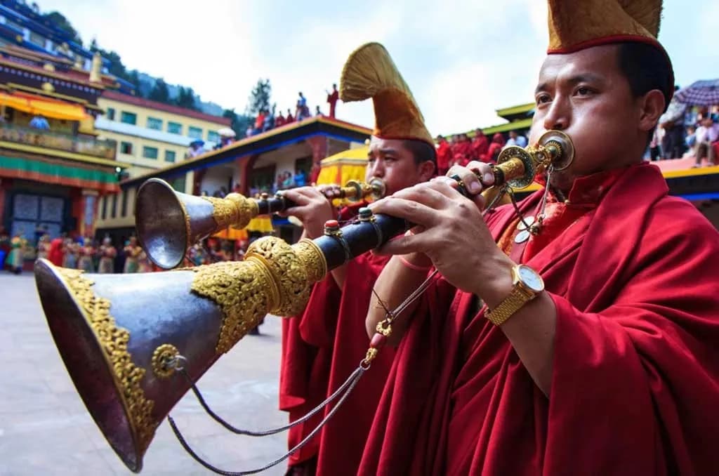 culture image